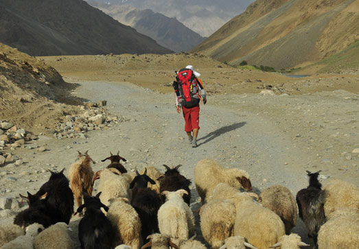 3��_ �Ͷ�ü�� ���