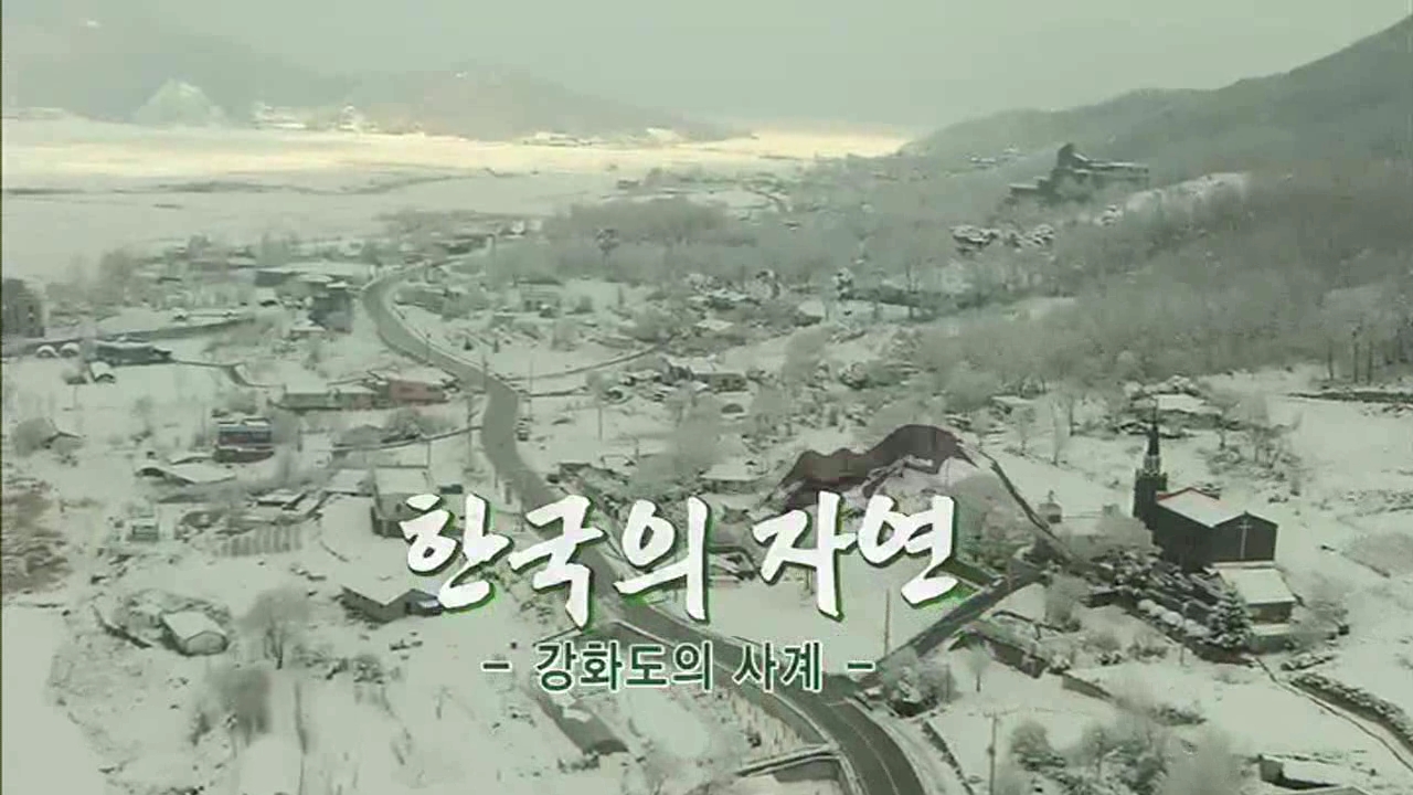 ��ȭ���� ���