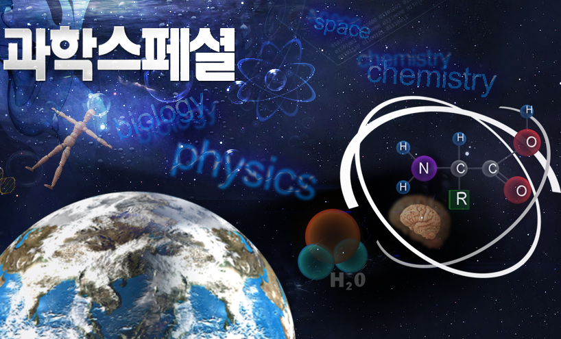 ���н����