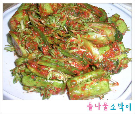위대한밥상 이미지