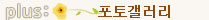 ���䰶����
