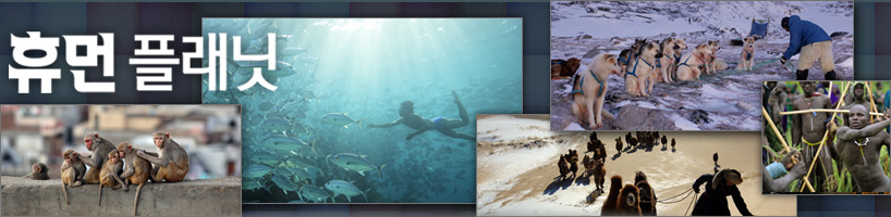 �� �� �ֿ䳻��