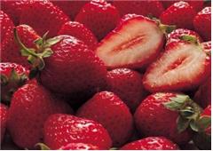 ����� �̹��� ��ü�ؽ�Ʈ�� �������ּ���.