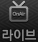 라이브