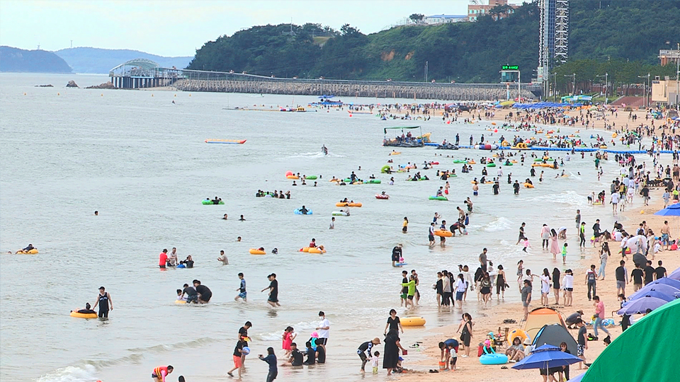 다큐멘터리 3일 636회