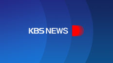 KBS 뉴스 12