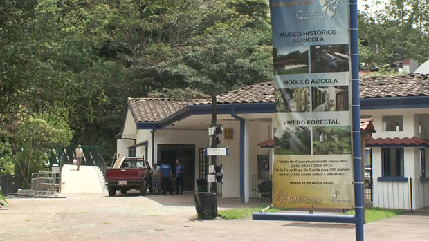 동물원 폐지' 고민하는 세계…'라쿤 카페' 성행하는 한국 | KBS 뉴스 동물원 폐지' 고민하는 세계…'라쿤 카페' 성행하는 한국 | Kbs 뉴스