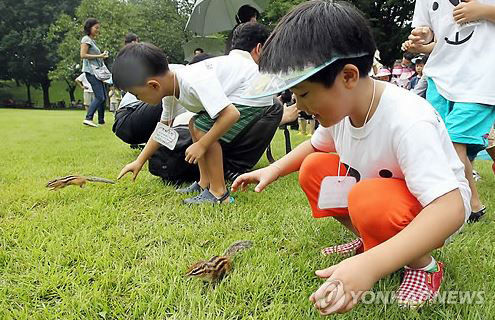 올림픽공원에서 다람쥐를 방사하는 어린이들. 1992년과 2011년 두 차례 120마리를 방사했다.