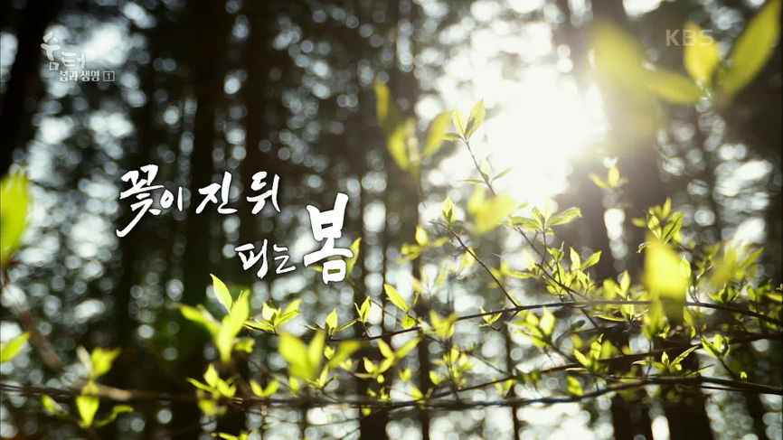 숨 터 - KBS