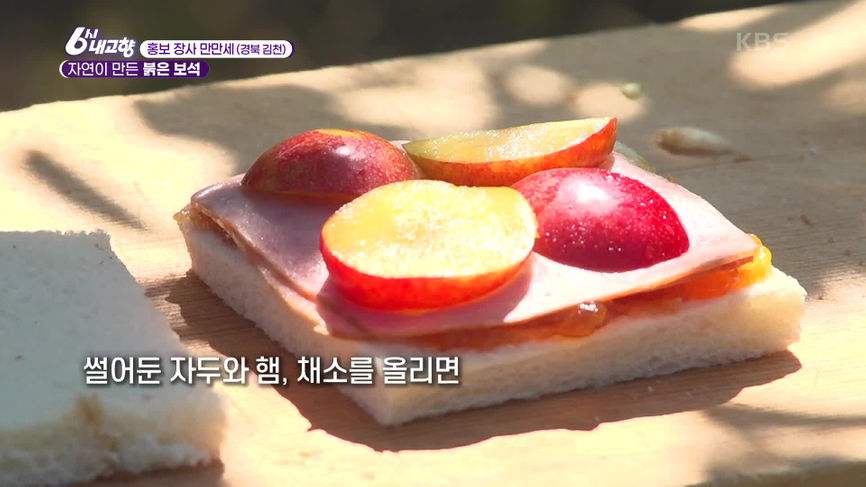 [7309회] 6시 내고향 - KBS