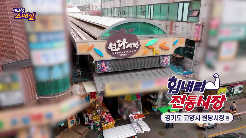 [1595회] 내고향 스페셜 - KBS