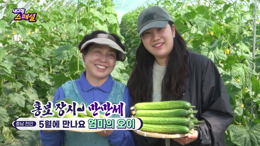 [1823회] 내고향 스페셜 - KBS