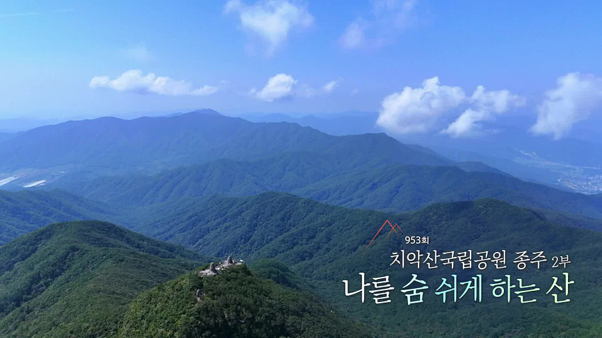 [953회] 영상앨범 산 - KBS