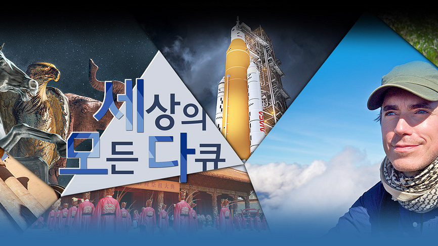 세상의 모든 다큐 - KBS