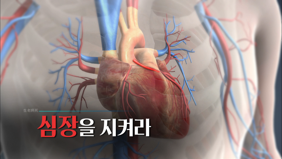 생로병사의 비밀 다혈관의 무서움! 끝날때까지 끝난게 아니다 6