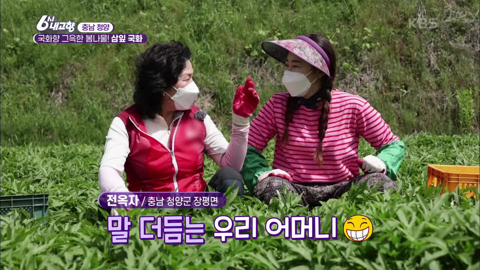 [7280회] 6시 내고향 - KBS