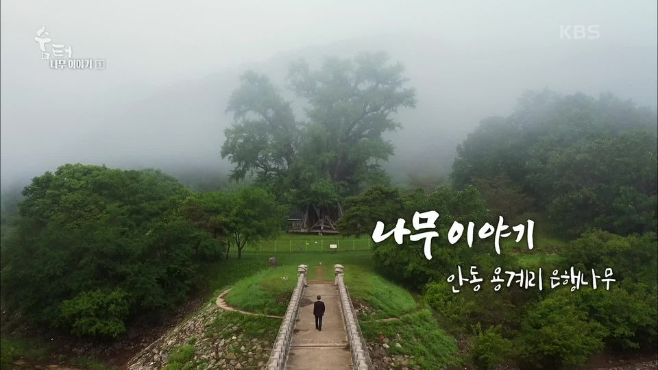 [1043회] UHD 숨터 - KBS