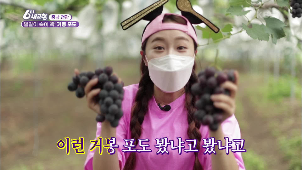 [7349회] 6시 내고향 - KBS