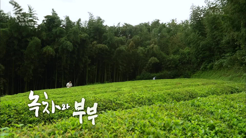 [1102회] UHD 숨터 - KBS