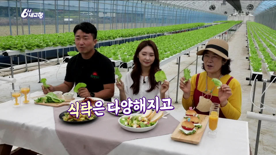[7394회] 6시 내고향 - KBS