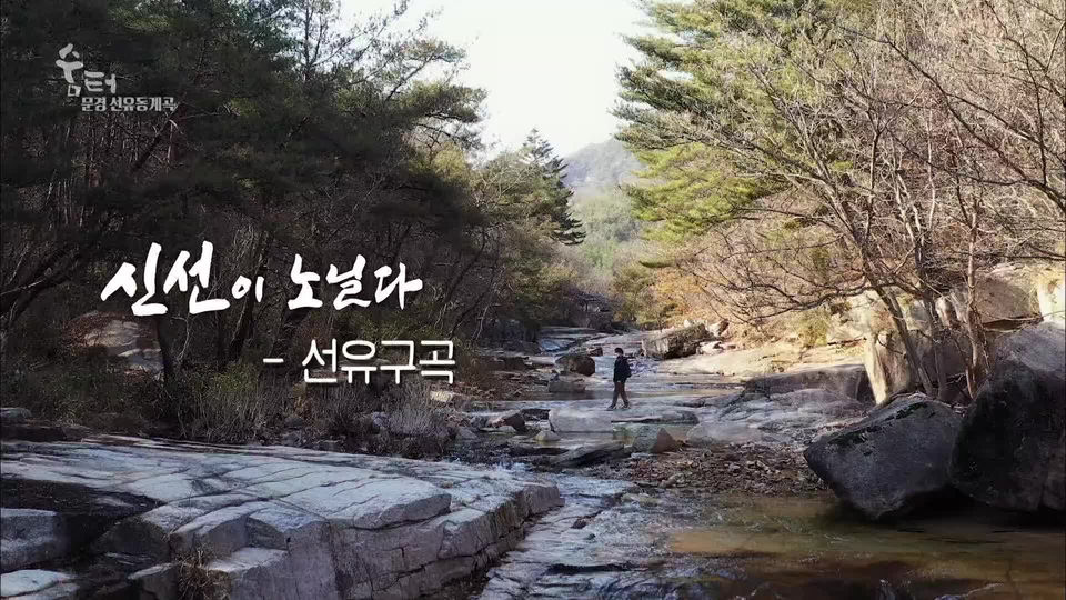 [1210회] UHD 숨터 - KBS