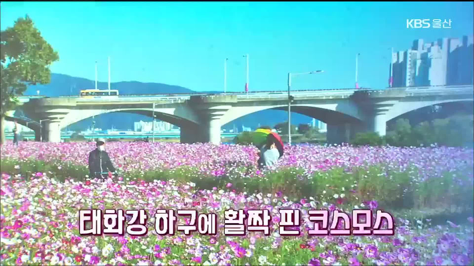이용식의 울산시대 - KBS