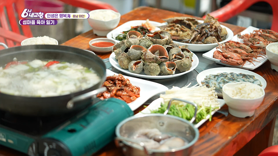 [8279회] 6시 내고향 - KBS