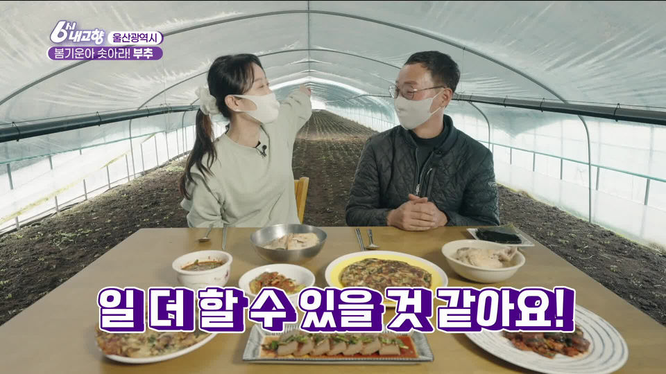 [7486회] 6시 내고향 - KBS