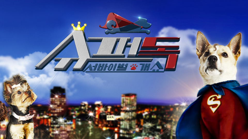 슈퍼독 | 디지털 KBS 슈퍼독