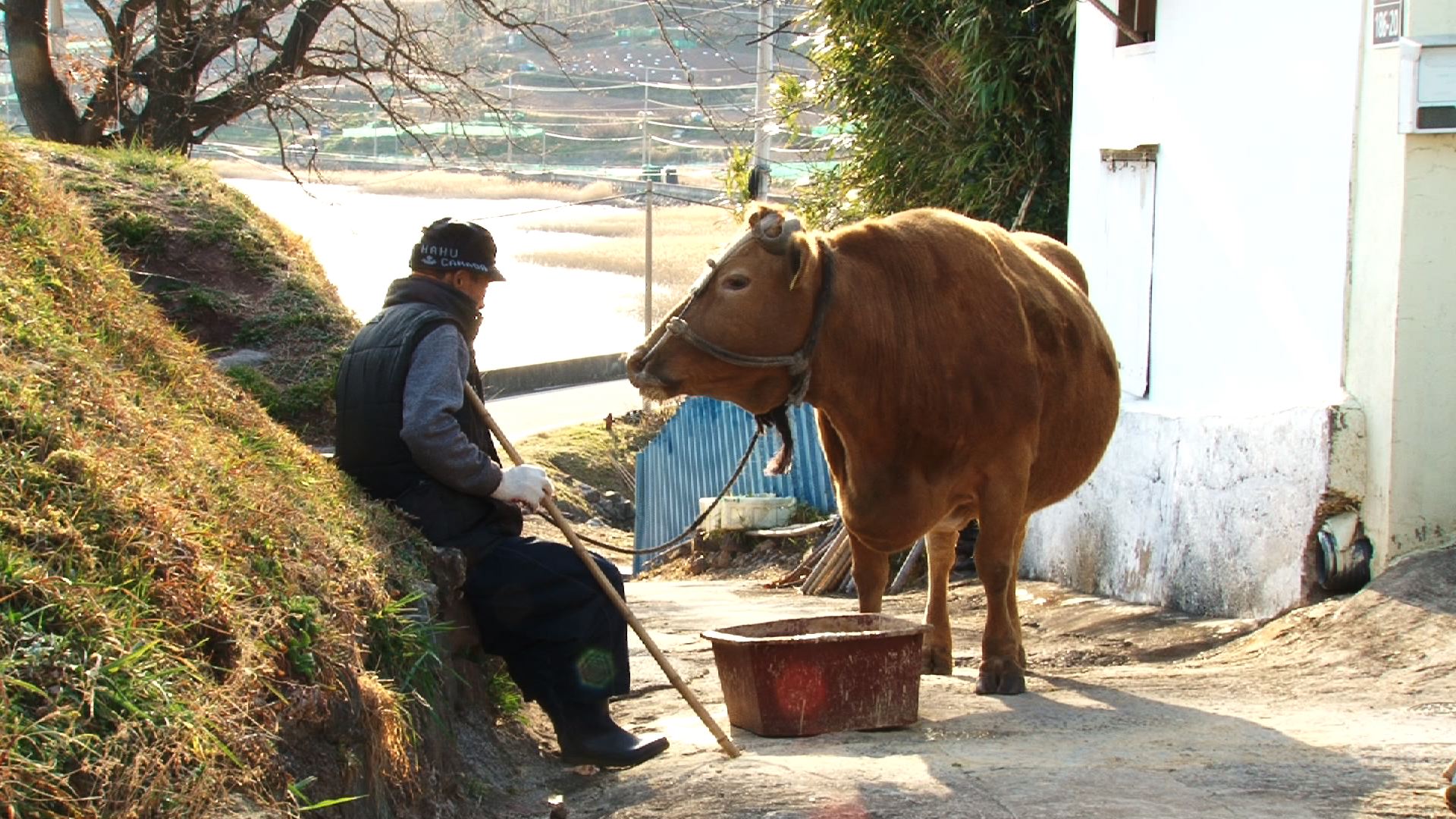 (다운로드) 노인소득보장제도에는 직접소득보장과 간접소득보장이 있다. 여기서는 직접소득보장을 공적소득보장과 민간소득보장으로 나누어 간략하게 설명드리겠습니다.